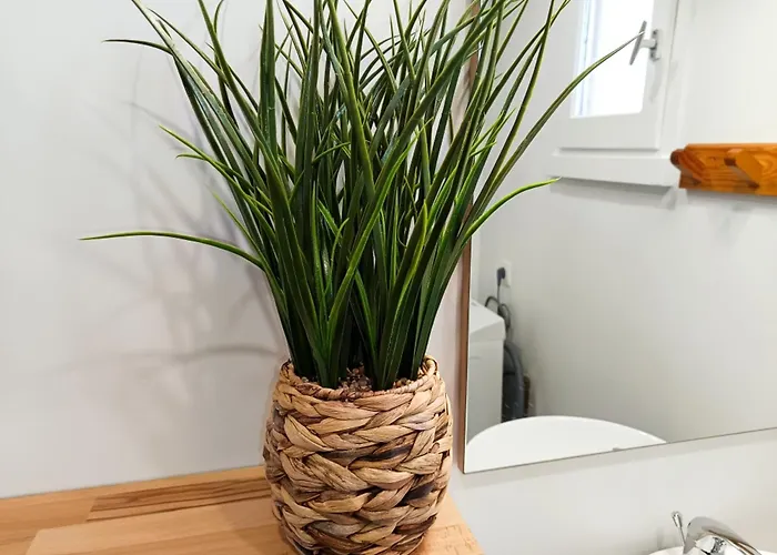 Prázdninový dům Maison Cosy Avec Terrasse Et Acces Piscine, - 4 Pers - Fr-1-540-316 Notre-Dame-de-Monts