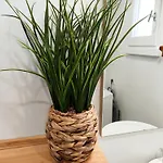 Casa de Férias Maison Cosy Avec Terrasse Et Acces Piscine, - 4 Pers - Fr-1-540-316 Notre-Dame-de-Monts